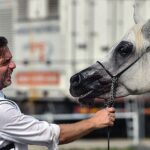 14-15.08.2021. Janów Podlaski. 43. Narodowy Pokaz Koni Arabskich. Pokaz oraz aukcję koni „Pride of Poland” po raz trzeci organizuje Polski Klub Wyścigów Konnych / Wojtek Jargiło / PAP