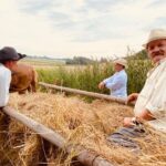 02.08.2021. Boszczynek. Plan zdjęciowy filmu o tradycyjnych sianokosach / UMiG Skalbmierz