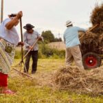 02.08.2021. Boszczynek. Plan zdjęciowy filmu o tradycyjnych sianokosach / UMiG Skalbmierz