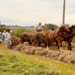 02.08.2021. Boszczynek. Plan zdjęciowy filmu o tradycyjnych sianokosach / UMiG Skalbmierz