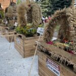 15.08.2021. Zawichost. Dożynki gminne / Grażyna Szlęzak-Wójcik / Radio Kielce