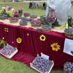 08.08.2021. Szydłów. Święto Śliwki / Grażyna Szlęzak-Wójcik / Radio Kielce