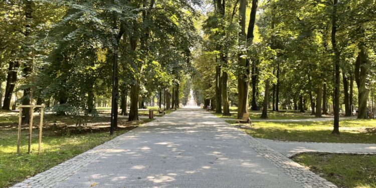 16.08.2021. Sandomierz. Park miejski / Grażyna Szlęzak-Wójcik / Radio Kielce