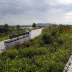 04.08.2021. Kielce. Ogród Botaniczny / Anna Kwapisz / Radio Kielce