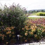 04.08.2021. Kielce. Ogród Botaniczny / Anna Kwapisz / Radio Kielce