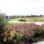 04.08.2021. Kielce. Ogród Botaniczny / Anna Kwapisz / Radio Kielce