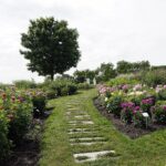 04.08.2021. Kielce. Ogród Botaniczny / Anna Kwapisz / Radio Kielce