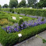 04.08.2021. Kielce. Ogród Botaniczny / Anna Kwapisz / Radio Kielce