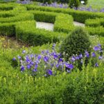 04.08.2021. Kielce. Ogród Botaniczny / Anna Kwapisz / Radio Kielce