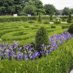 04.08.2021. Kielce. Ogród Botaniczny / Anna Kwapisz / Radio Kielce