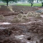 06.08.2021. Kielce. Budowa Mars Yardu / Sebastian Kalwat / Radio Kielce