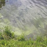 11.08.2021. Kielce. Zalew / Anna Kwapisz / Radio Kielce