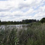 11.08.2021. Kielce. Zalew / Anna Kwapisz / Radio Kielce