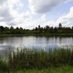 11.08.2021. Kielce. Zalew / Anna Kwapisz / Radio Kielce