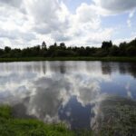 11.08.2021. Kielce. Zalew / Anna Kwapisz / Radio Kielce