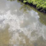 11.08.2021. Kielce. Zalew / Anna Kwapisz / Radio Kielce