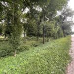 02.08.2021. Ostrowiec Świętokrzyski. Strefa Jeża / Emilia Sitarska / Radio Kielce