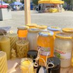 15.08.2021. Ostrowiec Św. Dożynki pszczelarskie / Anna Głąb / Radio Kielce