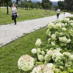 29.08.2021. Kielce. Ogród botaniczny. Bieg w ramach „Aktywnego weekendu” / Jarosław Kubalski / Radio Kielce