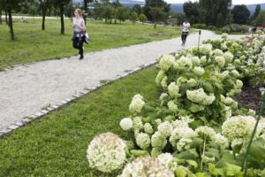 29.08.2021. Kielce. Ogród botaniczny. Bieg w ramach „Aktywnego weekendu” / Jarosław Kubalski / Radio Kielce