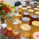 Ostrowiec Św. Dożynki pszczelarskie / Fot. Anna Głąb - Radio Kielce