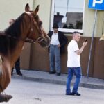 08.08.2021. Wodzisław. 56. Marsz Szlakiem I Kompanii Kadrowej / Jarosław Kubalski / Radio Kielce