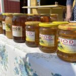 15.08.2021. Ostrowiec Św. Dożynki pszczelarskie / Anna Głąb / Radio Kielce