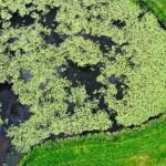 20.08.2021. Umer. Zalew / Jarosław Kubalski / Radio Kielce