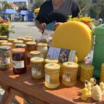 15.08.2021. Ostrowiec Św. Dożynki pszczelarskie / Anna Głąb / Radio Kielce