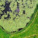 20.08.2021. Umer. Zalew / Jarosław Kubalski / Radio Kielce