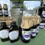 08.08.2021. Nieskurzów Stary. Spotkanie z naturą / Emilia Sitarska / Radio Kielce