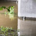 31.08.2021. Kielce Słowik. Przekroczony stan alarmowy na Bobrzy / Jarosław Kubalski / Rado Kielce