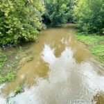 31.08.2021. Kielce Słowik. Przekroczony stan alarmowy na Bobrzy / Jarosław Kubalski / Rado Kielce