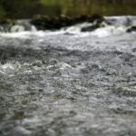 11.11.2020. Bocheniec. Rzeka Łośna (Łososina, Wierna Rzeka) / Robert Felczak / Radio Kielce