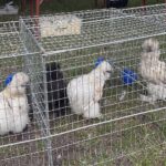 08.08.2021. Tokarnia. „Niedziela ze św. Franciszkiem” / Iwona Murawska / Radio Kielce