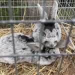 08.08.2021. Tokarnia. „Niedziela ze św. Franciszkiem” / Iwona Murawska / Radio Kielce