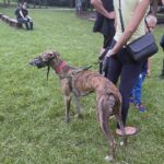 08.08.2021. Tokarnia. „Niedziela ze św. Franciszkiem” / Iwona Murawska / Radio Kielce