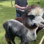 08.08.2021. Tokarnia. „Niedziela ze św. Franciszkiem” / Iwona Murawska / Radio Kielce