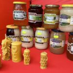 21.08.2021. Bałtów. XIV Święto Pszczoły / Anna Głąb / Radio Kielce