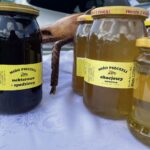 21.08.2021. Bałtów. XIV Święto Pszczoły / Anna Głąb / Radio Kielce