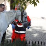 06.08.2021. Słomniki. Wypadek podczas Marszu Szlakiem I Kompani Kadrowej / Jarosław Kubalski / Radio Kielce