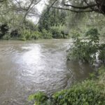 Przekroczone stany ostrzegawcze świętokrzyskich rzek