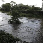 31.08.2021. Kielce. Zatorowany przepływ rzeki Lubrzanki przy ulicy Zielnej / Jarosław Kubalski / Radio Kielce