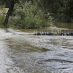 31.08.2021. Kielce. Zatorowany przepływ rzeki Lubrzanki przy ulicy Zielnej / Jarosław Kubalski / Radio Kielce