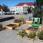 19.08.2021. Kielce. Tworzenie Zielonego zakątka w centrum Kielc. / Wiktor Taszłow / Radio Kielce