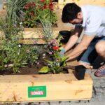 19.08.2021. Kielce. Tworzenie Zielonego zakątka w centrum Kielc. Na zdjęciu: Alex Dujszebajew - zawodnik Łomży Vive Kielce. / Wiktor Taszłow / Radio Kielce