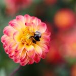 21.08.2021. Kielce. Ogród botaniczny / Wiktor Taszłow / Radio Kielce