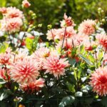 21.08.2021. Kielce. Ogród botaniczny / Wiktor Taszłow / Radio Kielce