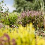 21.08.2021. Kielce. Ogród botaniczny / Wiktor Taszłow / Radio Kielce