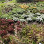 21.08.2021. Kielce. Ogród botaniczny / Wiktor Taszłow / Radio Kielce